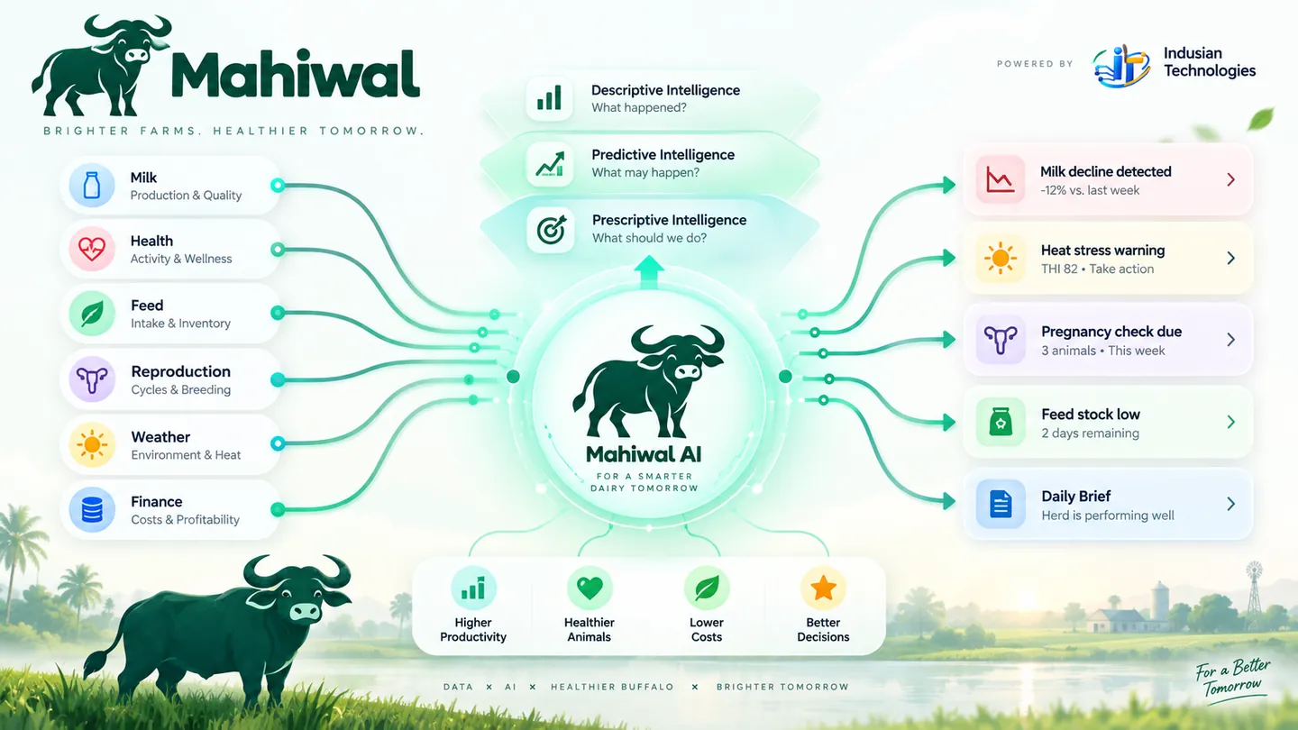 Mahiwal AI combines milk, health, feed, reproduction, weather and finance data into descriptive, predictive and prescriptive farm intelligence